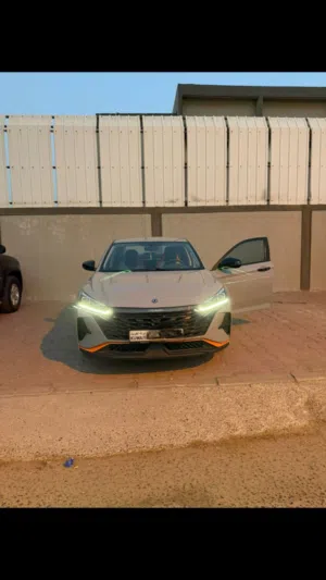 للبيع دي اف ام 2025 A30