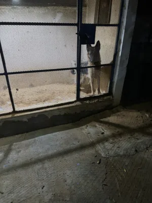 يبييبططيييييي