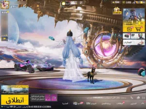 حساب ببجي العالمية حساب vip