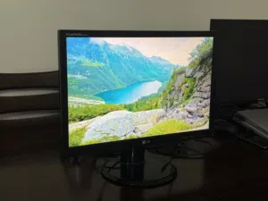 LG 22" Widescreen Monitor (Flatron L222WS)