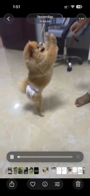 بوبر مين