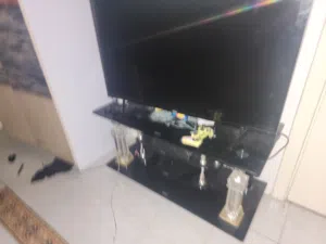 haier tv for sale
