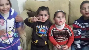 مامون 