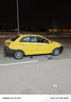 شيري فلاوين  2013