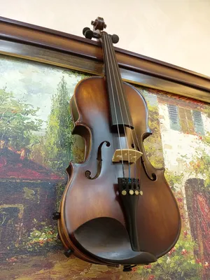 Violins & Other Strings . Used4