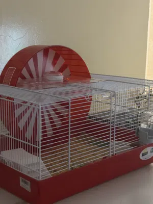 هامستر أبيض مع القفص بملحقاته و ألعابه