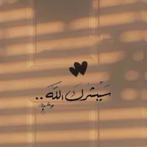 Mahmoud 