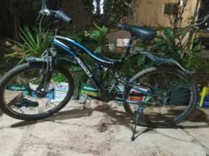 بسكليت ياباني نمره 24