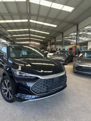 BYD . Tang . 2024 . New0