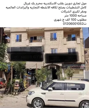 Monthly . 1000 m21