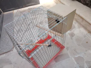 قفص ببغاء بحالة ممتازة نظيف مع كوخ كبير خشب خاص