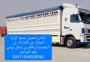 اعلان تحميل جميع انواع الحلال من الامارات لي السعودية و قطر بي شكل يومي رقم التواصل