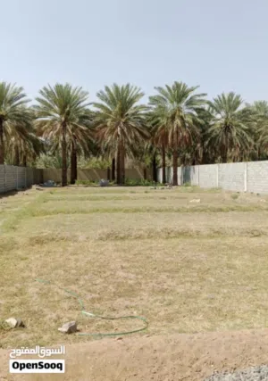 Mixed Use Land for Rent in Al Dakhiliya Nizwa