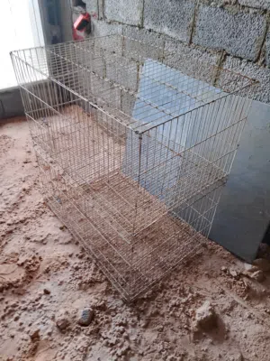 قفص بارتي حمام للبيع