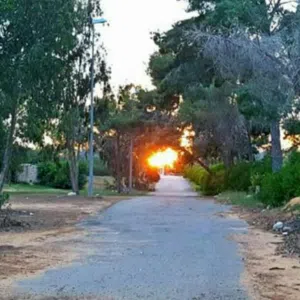 الكامل الجربي