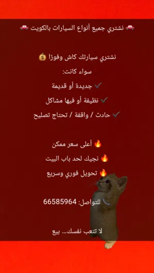 نشتري جميع السيارات بالكويت مهما كانت حالتها (سليمة، مصدومة، سكراب)