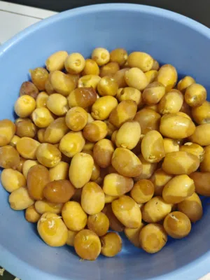 رطب بوشر خلاص وخنيزي ولزاد جديد