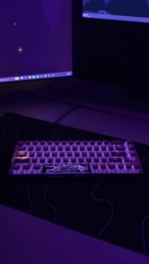 keyboard duckey speed silver , black color