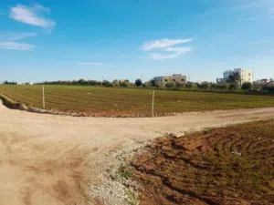 Farm Land for Sale in Madaba Al-Faisaliyyah