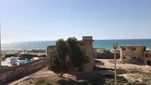 85 m2 3 Bedrooms Apartments for Rent in Alexandria Agami