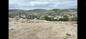 561 متر كوشان مفروز