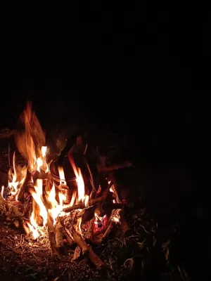 الحمد لله 