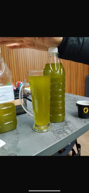 زيت زيتون جديد