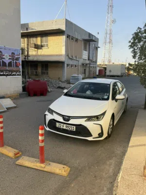 كورلا هايبرد 2024 أربيل