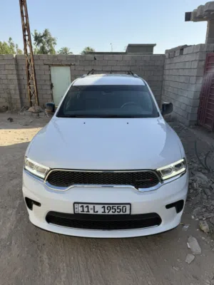 دوج دورنكو 2023