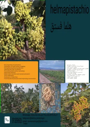 فستق اکبری