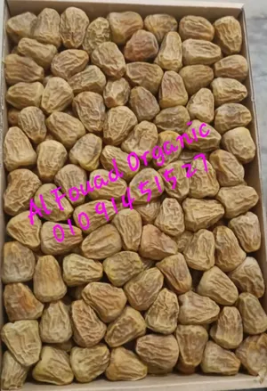 ‏تمور‏2