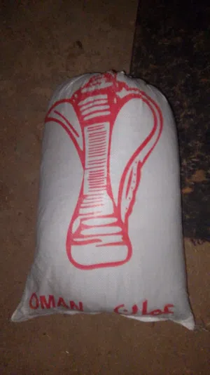 جواني حشيش مطحون لي يبا حق حلاله