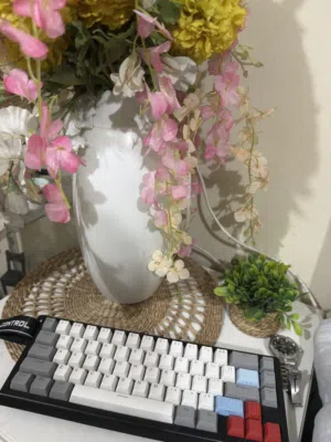 Attack Shark X68HE ( wooting )