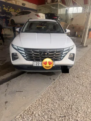 توسان 2024