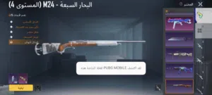 حساب ببجي للبيع
