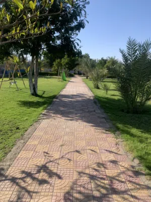 ‏شهري ‏.‏ 300 م٢‏4