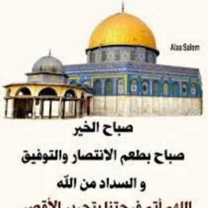 ABO-ODAI 