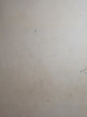 معدات نجاره