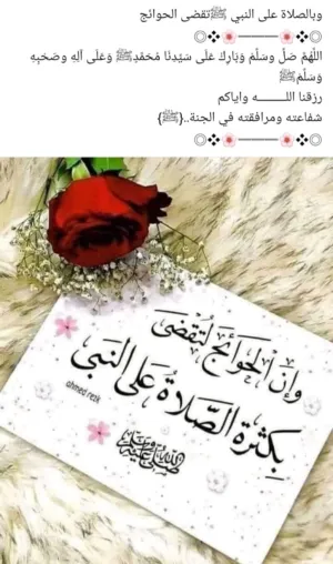 سائد حبيب فضل حسين 