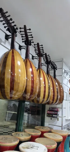 اعواد مصريه تعليمي ونص لوكس