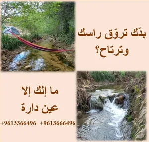 ‏أخرى‏0