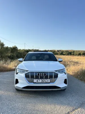 Audi etron s line
