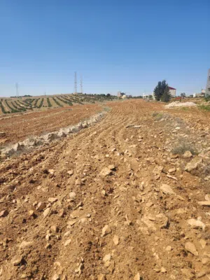 Farm Land for Sale in Mafraq Al-Dajaniya