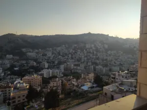 شقه مشطبه 40% ( مقصوره )