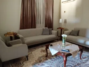 صالون تركي