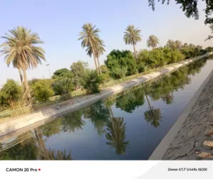 حيدر 