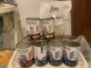 مستلزمات قطط مسكره بسعر حرق اقل من السوق بكثير