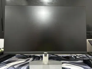 Dell S2421HN 24" Full HD monitor