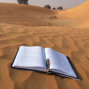 شركة البناء الفعلي 