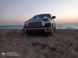 معتصم 